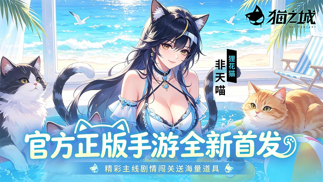 猫之城活动预告